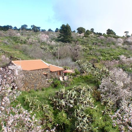 Casa Rural La Jarita El Pinar  Экстерьер фото