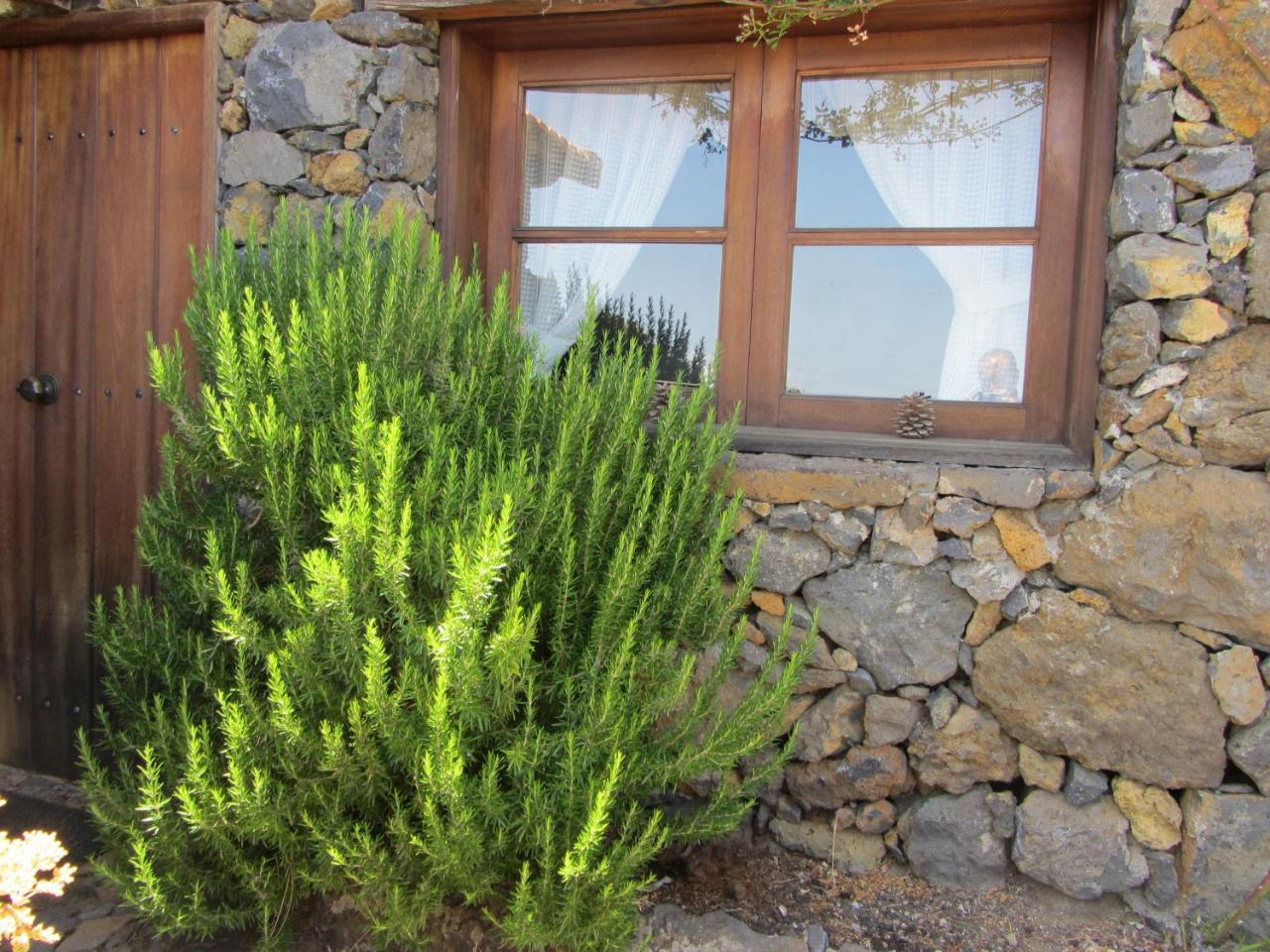 Casa Rural La Jarita El Pinar  Экстерьер фото