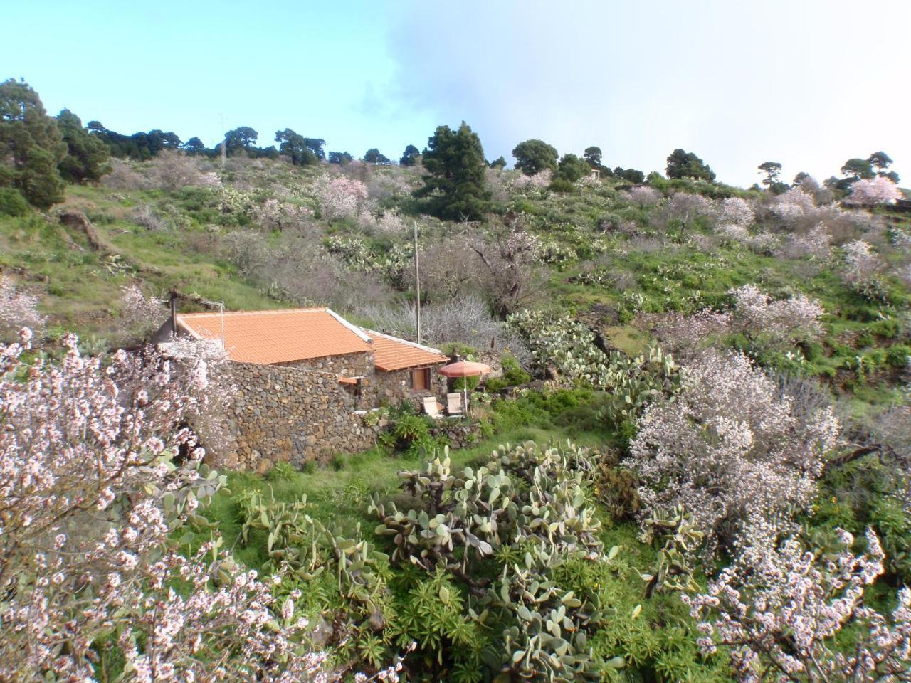 Casa Rural La Jarita El Pinar  Экстерьер фото