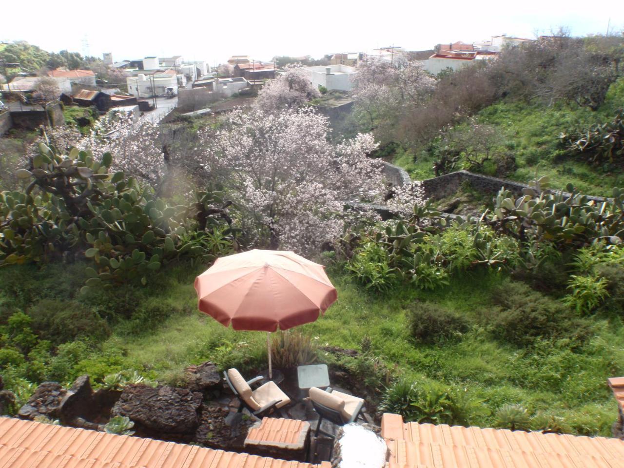 Casa Rural La Jarita El Pinar  Экстерьер фото